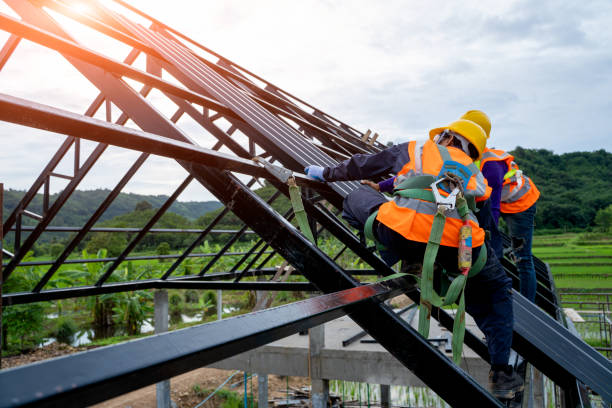 Best Roof Gutter Cleaning  in Moundville, AL
